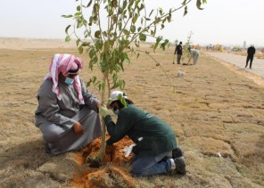 أمانة الجوف وبلدياتها تطلق الموسم الرابع لمبادرة “الجوف واحة خضراء”