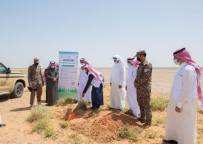 القوات الخاصة للأمن البيئي ومحمية الملك سلمان الملكية تطلقان حملة تشجير للمحمية