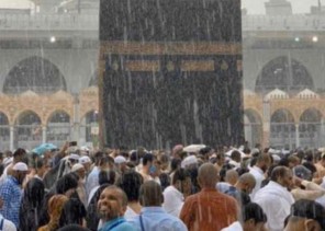 رزقُ الحكيمِ