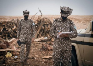 القوات الخاصة للأمن البيئي: ضبط كميات من الحطب المحلي المستخدم لأغراض تجارية