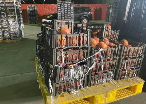 بالفيديو .. أول تعليق من متحدث مكافحة المخدرات على قرار “الداخلية” بمنع دخول الخضراوات والفواكه اللبنانية