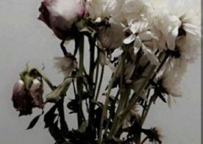 السلام والأمان