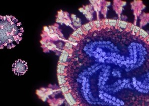 علماء “كاوست” يطورون نظاماً لرصد وتعقب طفرات فيروس “كورونا”