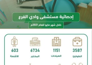 3587 مستفيد من خدمات قسم الطوارئ بمستشفى وادي الفرع