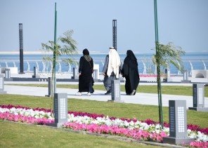 أمانة الشرقية: مضاعفة جمال الشرقية بزراعة 317000 شجرة للمرحلة الثانية من مبادرة “شرقية خضراء”