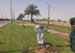 بلدية اللهابه تواصل جهودها بزراعة أشجار الظل والزينة باللهابة والمراكز التابعة