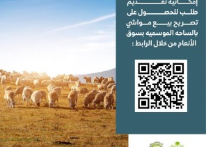 أمانة الجوف تستقبل طلبات تراخيص بيع الأضاحي بالساحة الموسمية إلكترونيا