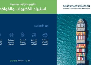 “البيئة” تطلق آلية جديدة لتطبيق ضوابط وشروط استيراد الخضروات والفواكه