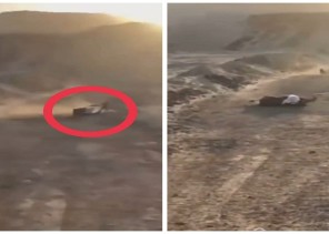 شاهد: ذئب يهاجم رجل في منطقة برية ويحاول أن يسحبه لإفتراسه .. وشاب يحاول إبعادة بعصى غليظة