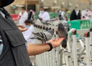 مجموعة إسعاد التطوعية توزع سلال غذائية وسجاد شخصية على المصلين والمعتمرين بمكة المكرمة