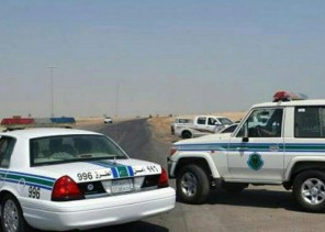 خبأها داخل حقيبة.. أمن الطرق يحبط محاولة مقيم تهريب 25 كلجم من الحشيش بجازان‬