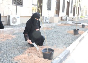 صحة حائل تُطلق مبادرة «مديريتنا خضراء» لتشجير المساحات المحيطة بمبناها