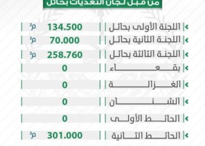 تعديات حائل تزيل أكثر من ٨٠٠ الف متر مربع خلال صفر