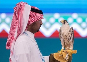 صقَّار يستعين بأولاده لطرح شاهين الـ 67 ألفاً بمزاد نادي الصقور السعودي