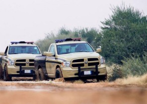 ضبط (3) مواطنين مخالفين لنظام البيئة لقيامهم بالصيد المخالف