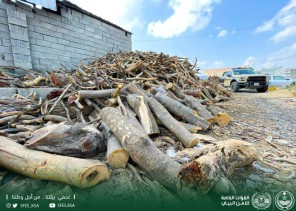 القوات الخاصة للأمن البيئي تضبط مخالفين لنظام البيئة لاستخدامهم حطبًا محليًا في أنشطة تجارية بمنطقة عسير