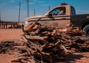 القوات الخاصة للأمن البيئي تضبط مخالفين لنظام البيئة لنقلهم حطبًا محليًا بمنطقة حائل