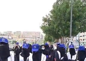 مبادرة ” كات ووك ” للمحافظة على القطط البرية المعرضة للإنقراض بالطائف .