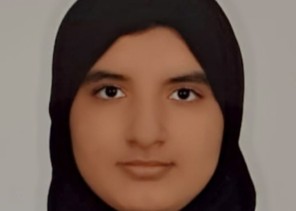 (الصحف الإلكترونية )