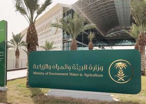 “البيئة” تستعرض تحديات قطاع الدواجن لتحقيق وفرة الإنتاج واستقرار الأسعار