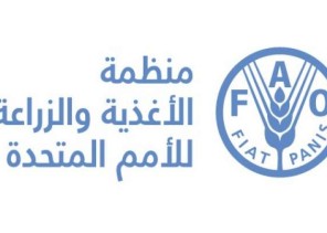 بالإجماع.. المملكة رئيسًا للدورة الـ “36” للجنة مصايد الأسماك بمنظمة (الفاو)