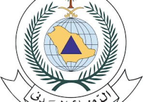 الدفاع المدني يشارك في الاجتماع الوزاري الثالث لدول بريكس في إدارة الكوارث