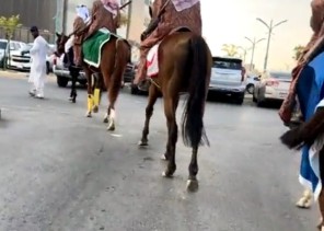 شاهد: مسيرة الخيول لـــ” مربط  الخفيج للخيل العربية الأصيلة في فعاليات اليوم الوطني الـ 92