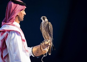 مبيعات مزاد نادي الصقور السعودي تتجاوز مليون ريال في الليلة السابعة