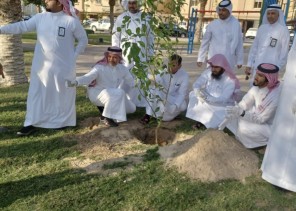 أمانة الشرقية تغرس 7 أنواع من الأشجار المثمرة في الحدائق العامة بهدف الاستفادة من ثمارها