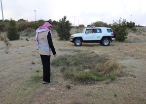 تسجيل نحو 650 مخالفة ضد مخالفي لوائح “الغطاء النباتي” في مناطق المملكة