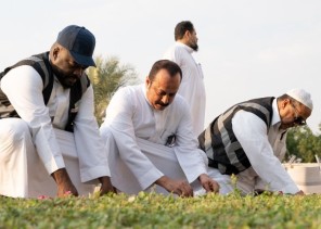 40 متطوع يشاركون أمانة العاصمة المقدسة في مبادرة التشجير