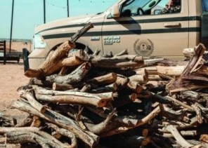 ضبط 11 مخالفاً لنظام البيئة بحوزتهم حطباً محلياً معروضاً للبيع