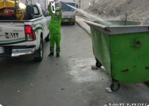 أمانة العاصمة المقدسة تكثف جهودها في مكافحة الحشرات بعد الأمطار