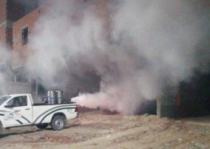 أمانة العاصمة المقدسة تكثف مكافحة الحشرات