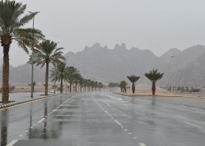 الأرصاد تنبه: أمطار رعدية ونشاط في الرياح السطحية تسبب في تدنِ مدى الرؤية الأفقية على منطقة حائل