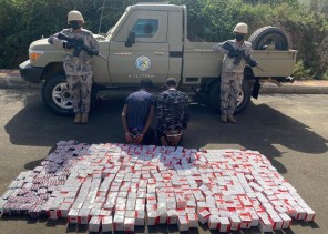 حرس الحدود يحبط محاولات تهريب أكثر من (42) طنًا من القات المخدر و(661) كيلوجرامًا من مادة الحشيش المخدر