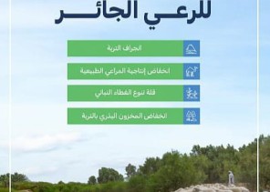 “البيئة”: أربعة أضرار رئيسة للرعي الجائر على أراضي المملكة