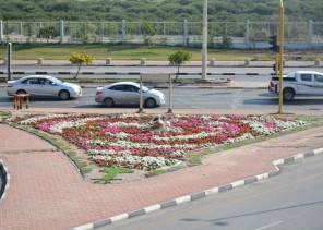 أمانة الشرقية: تنفيذ أكثر من 3.7 مليون شجرة وزهرة وإنجاز 6 مضامير مشاة و17 حديقة في حاضرة الدمام خلال عام 2022