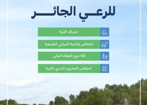 “البيئة”: أربعة أضرار رئيسة للرعي الجائر على أراضي المملكة