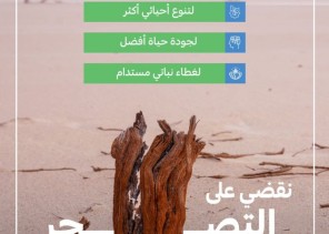 “البيئة”: القضاء على التــــصحـــــر يُسهم في تحقيق جودة حياة أفضل وغطاء نباتي مستدام