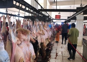 مكتب البيئة بحفر الباطن يرفع جاهزية المسلخ الأهلي لشهر رمضان