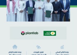 تحالف سعودي هولندي في إدارة البيوت المحمية وتسويق منتجاتها إلى أوروبا