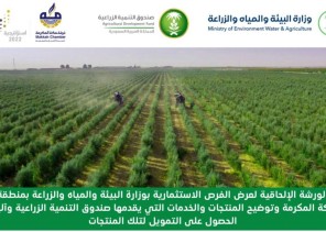 جهات حكومية تكشف عن فرص استثمارية واعدة بمحافظات مكة المكرمة