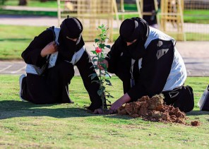 أمانة تبوك تختتم مشاركتها في أسبوع البيئة