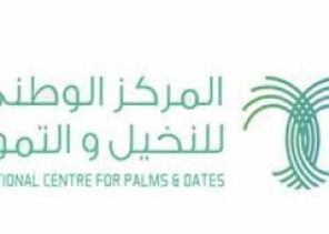 المركز الوطني للنخيل والتمور: إعادة فتح باب الإعانات للمزارعين غير المسجلين في إعانات 2021 – 2022