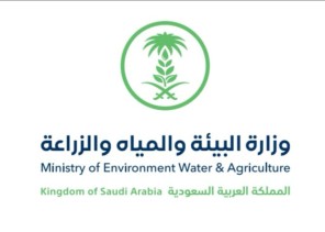 بيئة الباحة تفتح بوابات سد وادي ثراد