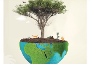 هيئة  تطوير  محمية  الملك  سلمان  بن عبدالعزيز  الملكية  تفعل  اليوم  العالمي  للبيئة