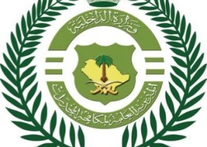 مكافحة المخدرات تقبض على (3) أشخاص بمنطقة الجوف لترويجهم أقراصًا خاضعة لتنظيم التداول الطبي