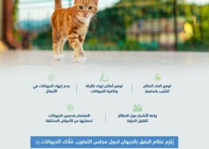 “البيئة” تحث على تعزيز مبدأ الرفق بالحيوان وتطبيق معايير الحماية من درجات الحرارة المرتفعة