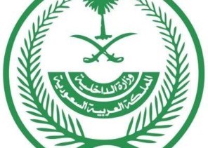 السماح بترخيص الأسلحة الهوائية في المدن والمحافظات